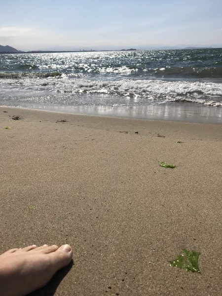 久しぶりのアーシング