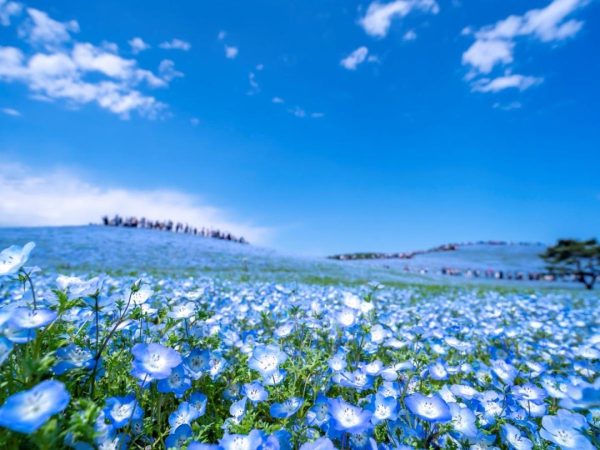 ホッとしました、今日お話しできて良かったです